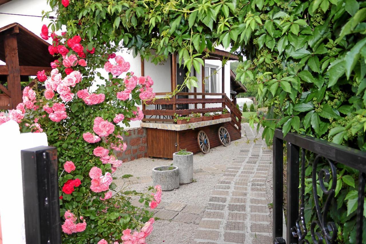 Guest House Medina 贝洛格拉奇 外观 照片