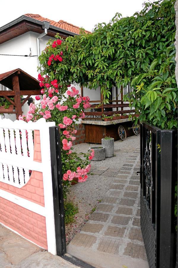 Guest House Medina 贝洛格拉奇 外观 照片