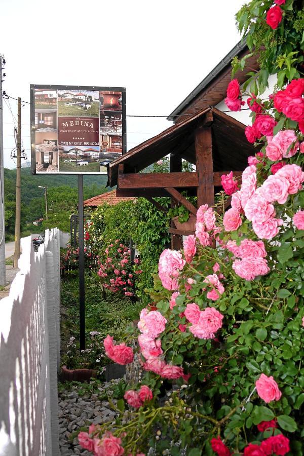 Guest House Medina 贝洛格拉奇 外观 照片
