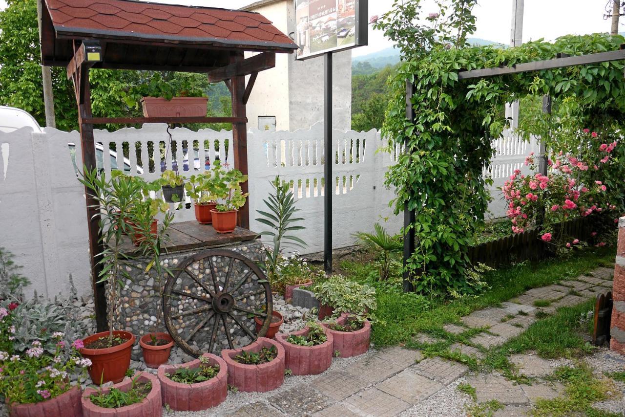 Guest House Medina 贝洛格拉奇 外观 照片